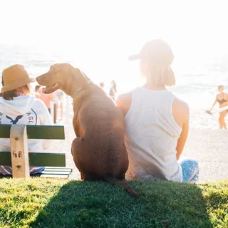 Two friends and their dog on a bench at the beach